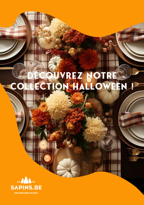 Collection Halloween - Décorations effrayantes et accessoires thématiques