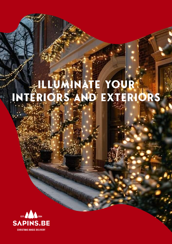 Christmas Lights - LED garlands and luminous decorations for the holidays