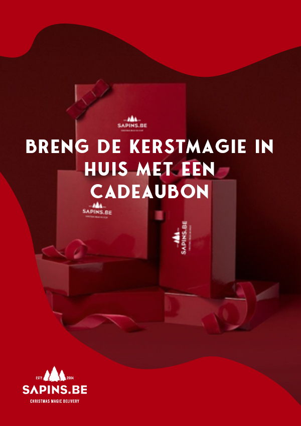 Cadeaubonnen - Zakelijke cadeaubonnen en gepersonaliseerde kerstcadeaus