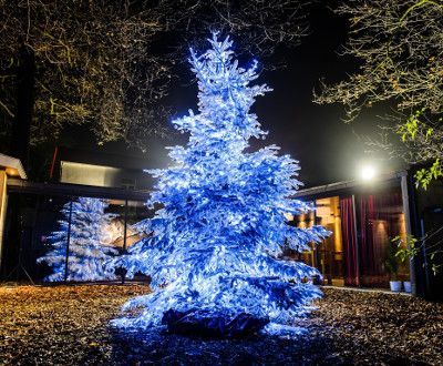 Pourquoi opter pour un sapin de Noël floqué pour son entreprise et quelle couleur choisir