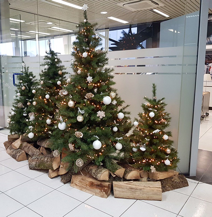 Several Christmas trees decorated in a company