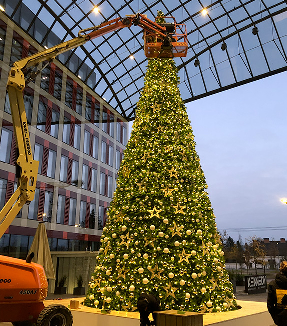 Gebruik van een kraan voor de installatie van een versierde natuurlijke kerstboom