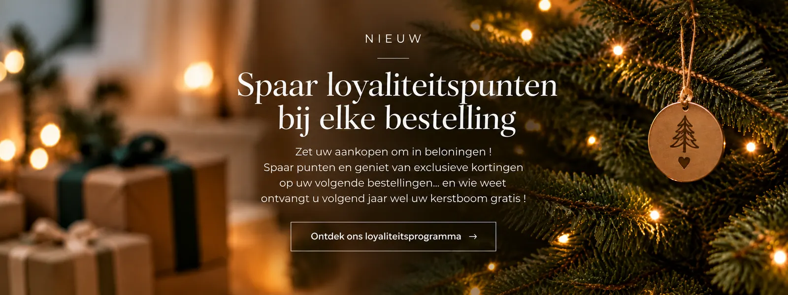Loyaliteitsprogramma: een punt per 20 euro aan producten, een punt is een euro waard