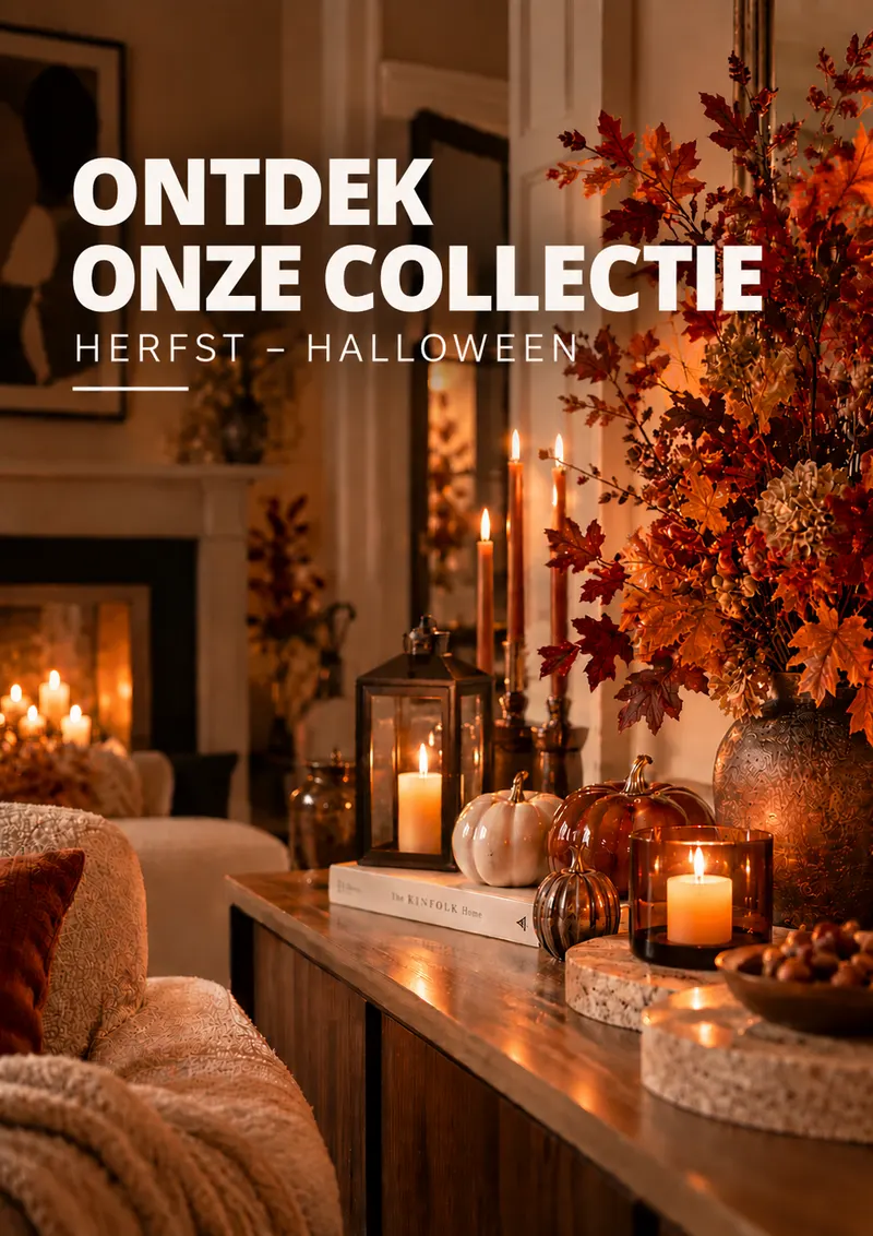 Ontdek onze Herfst- en Halloween-collectie