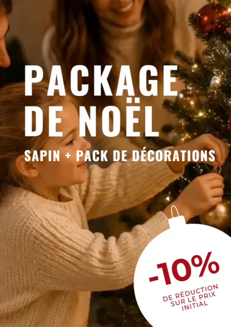 Package de Noël : sapin + pack de décorations, -10 % sur le prix initial