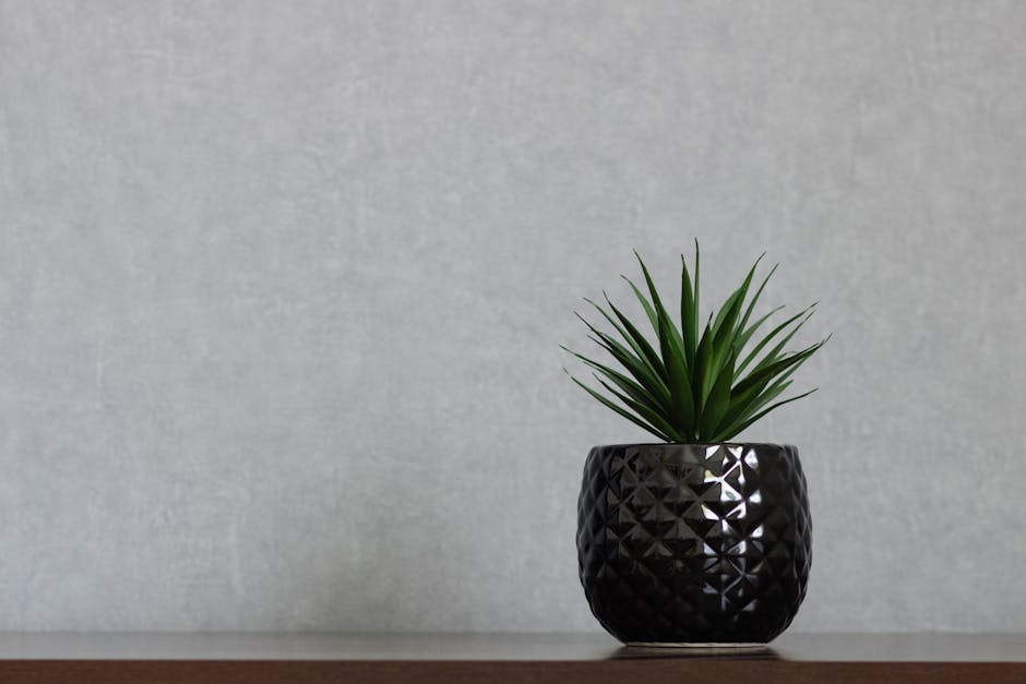 Plantes artificielles pour une décoration sans entretien