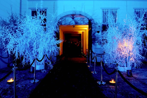 Entrée festive avec sapins illuminés