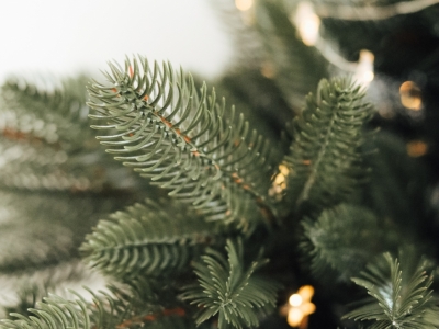 Comment entretenir son sapin de Noël : astuces et conseils